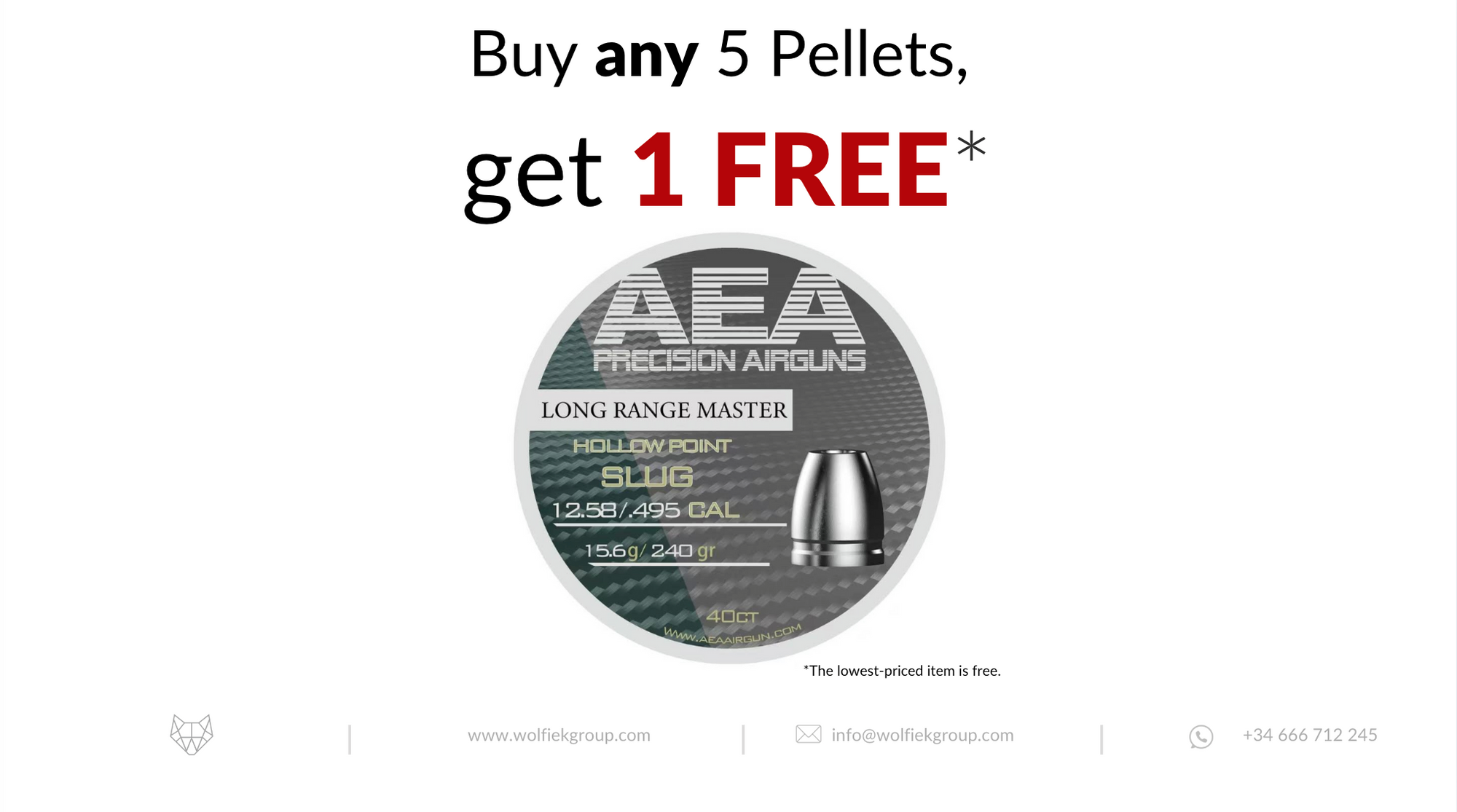 AEA Exact Slug Hollow Point · Cal .495 (12.58mm) · Weight 15.6g (240gr)